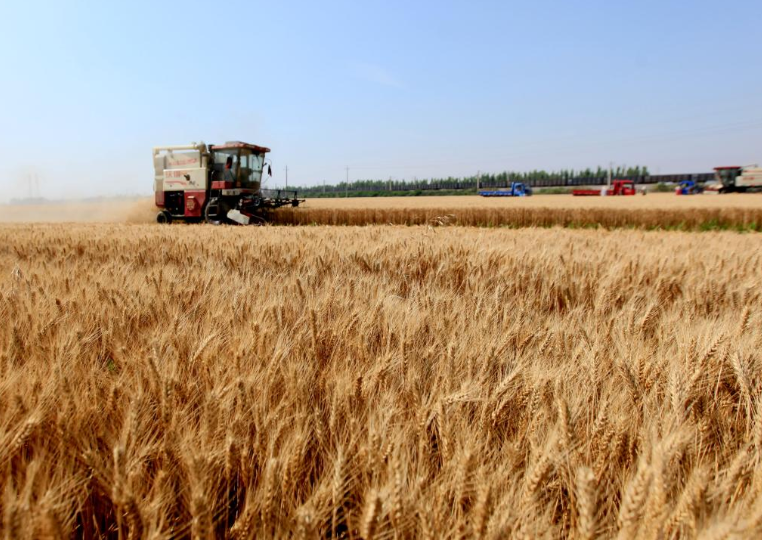 1750409493701517.png lQLPKGbopBvCT1nNAhzNAvqwnAt8_PJHSdQINLb0KOquAg_762_540.png